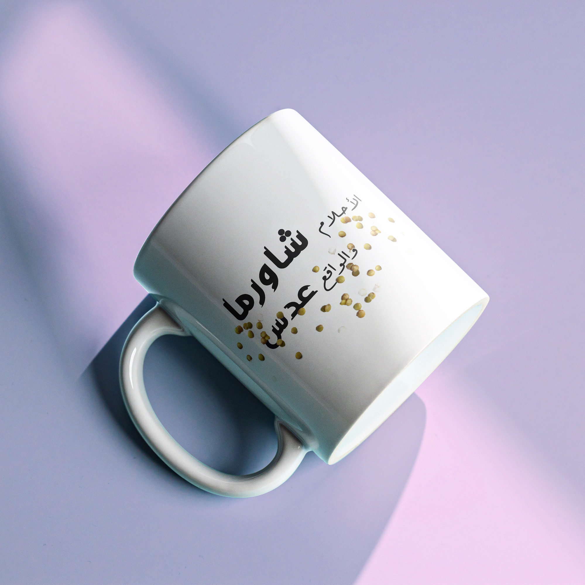 Printed Mug-Dreams are Shawarma